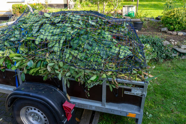 Best Dumpster Rental Services  in Fort Calhoun, NE